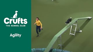 Agility Championship IntermediateLarge Final  ​Crufts 2022 [upl. by Ainar27]