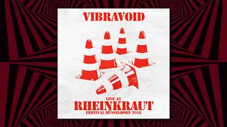 Vibravoid  Live At Rheinkraut Festival 2018 [upl. by Eirena]