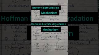 baeyer Villiger Oxidation and Hoffman bromide degradation chemistry shorts 1000subscriber [upl. by Rysler]