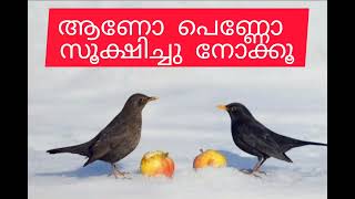 സ്തീപുരുഷന്മാര്‍ തോല്‍ക്കുന്ന ഇടങ്ങള്‍  viralvideo motivation malayalam success happines [upl. by Glanti623]