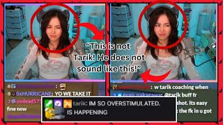 Tarik Reacts To Pokimane Listening To His AI Cover Songs On Stream [upl. by Aitnahc114]