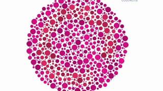 Colorlite tritan color blindness test  wwwcolorlitelenscom [upl. by Newkirk]