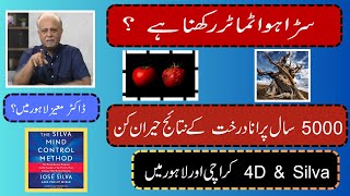 Tomato 4D Silva Meditation in Karachi and Lahore karachi lahore meditation water drmoizhussain [upl. by Aristotle]