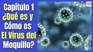 🚨 ¿QUÉ ES Y COMO ES EL VIRUS DEL MOQUILLO EN PERROS👉👉 DISTEMPER o ENFERMEDAD DE CARRÉ 🚨 [upl. by Mohammed55]