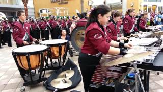 WRHS Marching Bulls  Journey 2013  Macys Part 1 [upl. by Mcilroy]