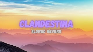 CLANDESTINA SONG SLOWED REVERB  BASS BOOSTED  clandestinas MRINFINITRIX [upl. by Annabelle616]