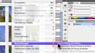 InDesign CS5 Automatische Beschriftungen aus BildMetadaten [upl. by Lraed]