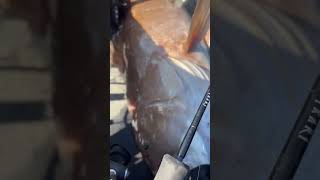 ΨΑΡΟΥΚΛΑΑΑ😱😱 Πως λέγετε αυτό το ψαρακι😂😂 fishing fish kayakfishing [upl. by Willman28]