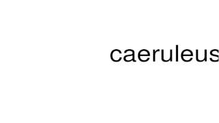 How to pronounce caeruleus [upl. by Kaliski511]