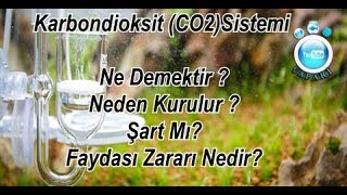 Karbondioksit CO2 Sistemi Nedir Neden Kurulur [upl. by Neile]