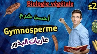 Biologie végétale en Arabeles Gymnospermes en Arabe SVI S2 [upl. by Dehsar643]