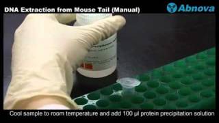 DNA Extraction from Mouse Tail [upl. by Calise]