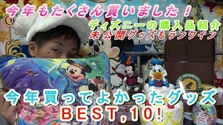 【豪華選抜】2018年のディズニーで買ってよかったグッズBEST10 [upl. by Kacy907]