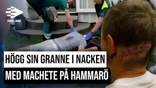 HÖGG SIN GRANNE I NACKEN MED MACHETE PÅ HAMMARÖ  HELA RÄTTEGÅNGEN [upl. by Oicafinob]