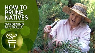 How to prune native plants [upl. by Adnolahs604]