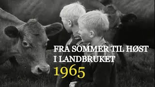 Fra sommer til høst i landbruket  1965 [upl. by Remos]