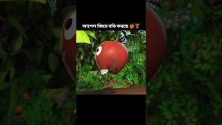 আপেল জিমে বডি করছে 🍎🏋️।। Story of an apple [upl. by Kallman224]