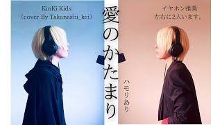 愛のかたまりKinKi Kids【左右に2人います。イヤホン推奨】ハモリあり（cover By Takanashikei） [upl. by Ennaeed]