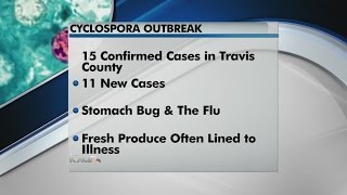 More than a dozen Cyclospora cases seen in Austinarea [upl. by Gisele]