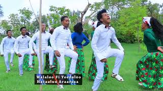 Hacaaluu Araarsaa Jarumaafi  Oromo Music 2018 New [upl. by Laurita]