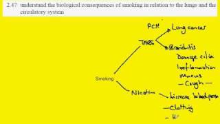 247 Biological effects of smoking [upl. by Eiuqcaj]