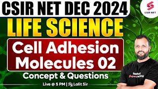 CSIR NET DEC 2024  Life Science  Concept And Questions  Cell Adhesion Molecules  02Dr Lalit Pal [upl. by Tani243]