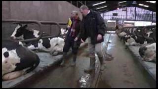 Cogent Dairy Works Part 2 of 5  Martin Partington on cubicle design [upl. by Tayyebeb903]