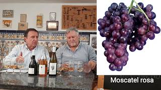 185  Moscatel la uva todoterreno Vinos secos dulces y rosas de Alicante [upl. by Nnayecats]