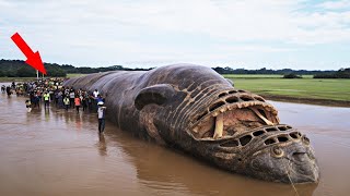 Esta Nova Descoberta Aterrorizante na Selva Amazônica Assustou Os CIENTISTAS [upl. by Essyle370]