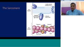 Pedicardio classes on Cardiomyopathy etiology amp management by Dr Nageswara Rao [upl. by Vacla]