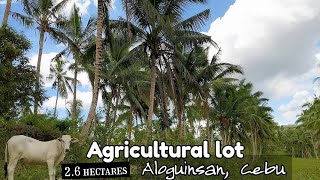 Titled Farm land for sale in Cebu Philippines [upl. by Isman222]