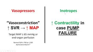 Vasopressors and Inotropes [upl. by Solotsopa439]