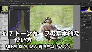 SILKYPIXでRAW現像をはじめよう 17 トーンカーブの基本的な使い方 [upl. by Zerelda]