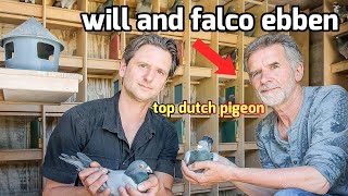 Top Dutch Racing Pigeons from Will amp Falco Ebben  Herbots Auction Spotlight [upl. by Parke683]