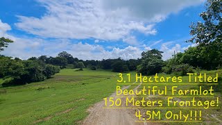 vlog 570 FARMLOT WPASTURELAND IN CUYAPO NUEVA ECIJA45M ONLY [upl. by Nrol]