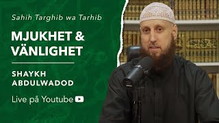 Mjukhet amp vänlighet  Sh Abdulwadod [upl. by Yand37]