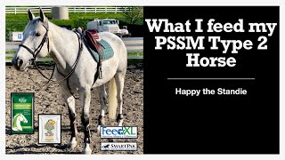 What I feed my PSSM Type 2 Horse  Happy the Standie [upl. by Sral]