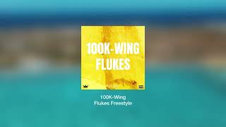 100KWing  Flukes Freestyle [upl. by Cochrane94]