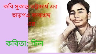 কবি সুকান্ত ভট্টাচার্য এর ছাড়পএ কাব্যগ্রন্থ এর কবিতাচিল banglakobita sukantokobita recitation [upl. by Gabby849]