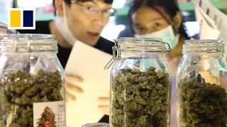 Thailand to outlaw marijuana by end of 2024 [upl. by Blasien]