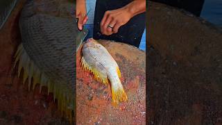 Yellow fish cutting skills viralvideo fishing trending shorts instagram food seafish [upl. by Alphonso]