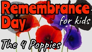 WHY ARE THERE DIFFERENT COLOUR POPPIES FOR REMEMBRANCE DAY  Miss Ellis remembranceday [upl. by Arbua882]