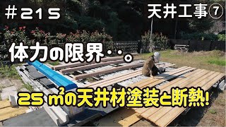 ≪週末DIYから始める移住への道≫ ＃215 25㎡の天井断熱材施工と塗装で‥アラフィフの体力が限界を迎えました。 天井工事７ アラフィフ開拓≫ [upl. by Lahcar]