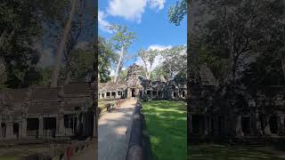 taprohm temple siemreap cambodia touristdestination touristattraction travel angkortourguide [upl. by Iraam]