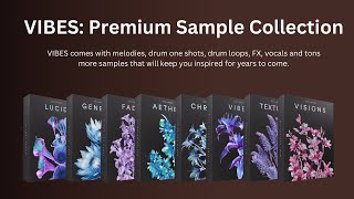 Cymatics  VIBES Premium Sample Collection  Download Now [upl. by Fiora]