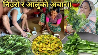 Niuro ko acharniguro achar reciperecipe rurallife food villagevlog cooking foodie [upl. by Darahs]