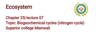 Nitrogen Cycle  Biogeochemical Cycles  Ecosystem [upl. by Tirrej]