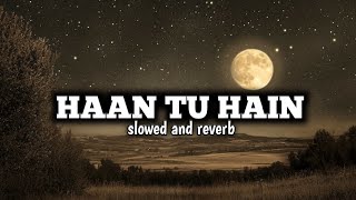 Haan Tu Hain  lofi kk slowed and reverb kk [upl. by Lunna344]