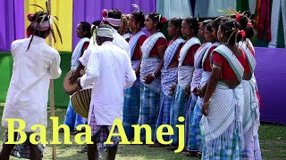 🌻Baha Anej Bikak Jonokhavha Monpur Udalguri santali dance 2022 [upl. by Etireuqram]