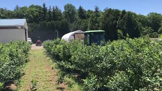 2018 Highbush Blueberry Optimized Sprayer [upl. by Frechette]